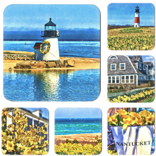 Load image into Gallery viewer, Nantucket Daffodil Coaster Set

