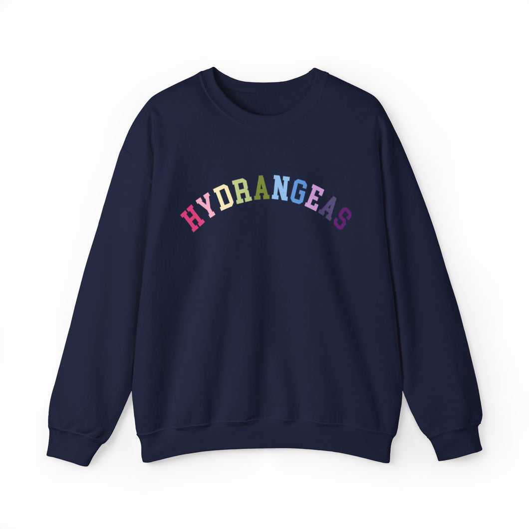 Navy Rainbow HYDRANGEAS Sweatshirt