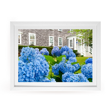 Load image into Gallery viewer, Edgartown Hydrangea Collection Prints - Grey Shingle Rising
