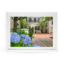 Load image into Gallery viewer, Edgartown Hydrangea Collection Prints - Summer Street Blues
