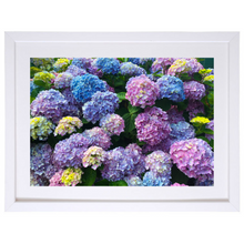 Load image into Gallery viewer, Hydrangea Heaven
