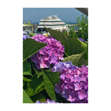 Load image into Gallery viewer, Hydrangea Ferry
