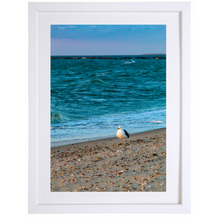 Load image into Gallery viewer, Solitary Seagull
