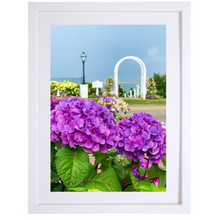 Load image into Gallery viewer, Chatham Hydrangea Collection - Trellis
